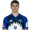 Player cutout