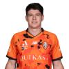 Player cutout