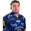 Player cutout