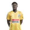 Player cutout