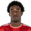 Player cutout