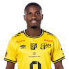 Player cutout