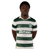 Player cutout
