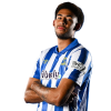 Player cutout