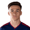 Player cutout