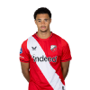 Player cutout