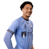 Player cutout