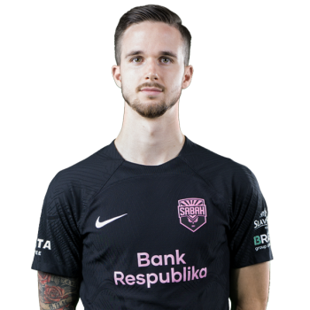 Ivan Lepinjica profile image