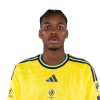 Player cutout