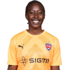 Player cutout