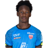 Player cutout