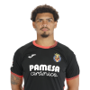 Player cutout