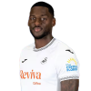 Player cutout