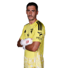 Player cutout
