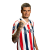 Player cutout