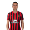Player cutout