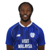 Player cutout