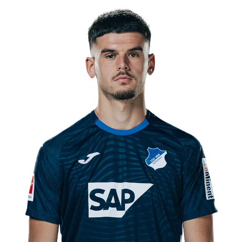 알비안 하지다리