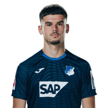 Albian Hajdari profile image