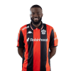 Player cutout