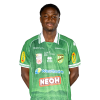 Player cutout