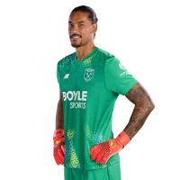 Player Cutout