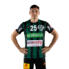 Player cutout