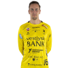 Player cutout