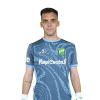 Player cutout