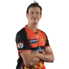 Player cutout