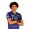 Player cutout