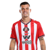 Player cutout
