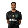 Player cutout
