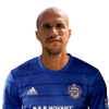 Player cutout