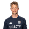 Player cutout