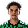 Player cutout