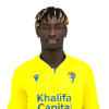Player cutout