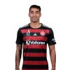 Player cutout
