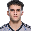 Player cutout
