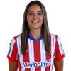Player cutout