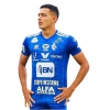 Player cutout