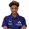 Player cutout