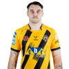 Player cutout