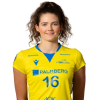 Player cutout