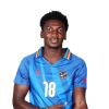 Player cutout