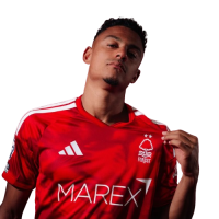 Player Cutout