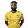 Player cutout