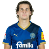 Player cutout