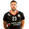 Player cutout