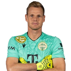Dénes Dibusz profile image